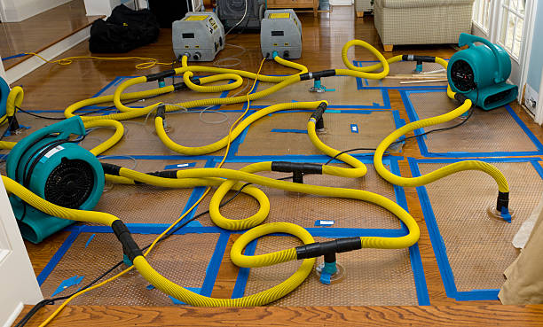 Professional Structural Drying And Dehumidification technician working in Wilder, TN